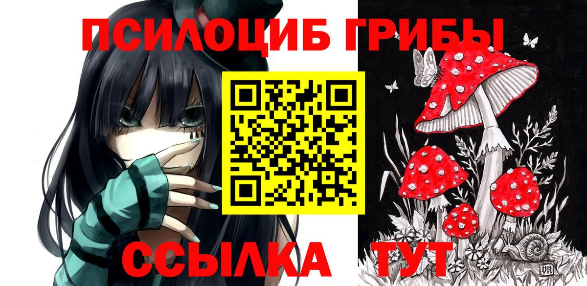 Псилоцибиновые грибы MAGIC MUSHROOMS Краснокамск
