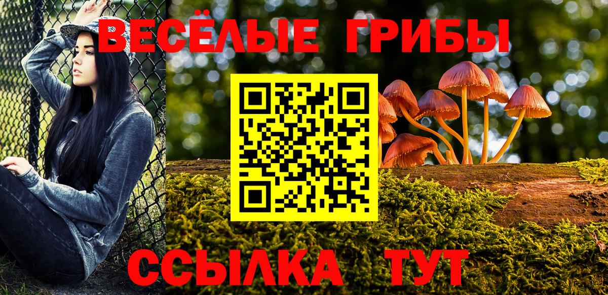 Галлюциногенные грибы MAGIC MUSHROOMS  Вход с VPN  Краснокамск  Псилоцибиновые грибы мухоморы 